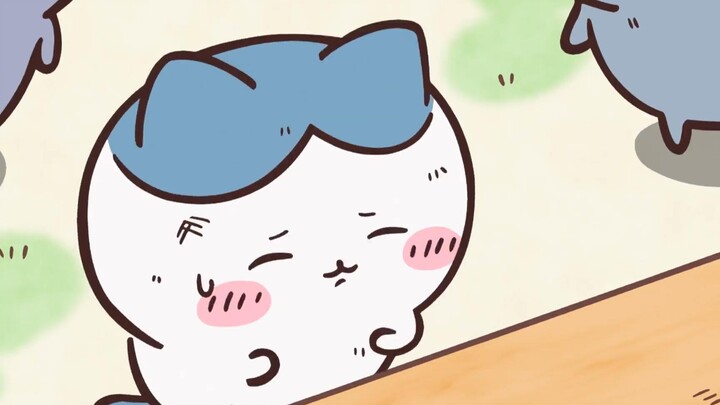 【จิอิคาวะ】โอ้ ฮาจิ คุณเป็นเด็กที่ดีที่สุด!