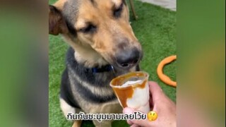 อร่อยเลยใช่มั้ยย