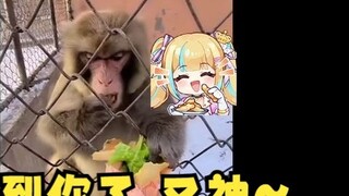 [Another] Another ironclad proof that the main bag is a monkey! God, I found you~🐒