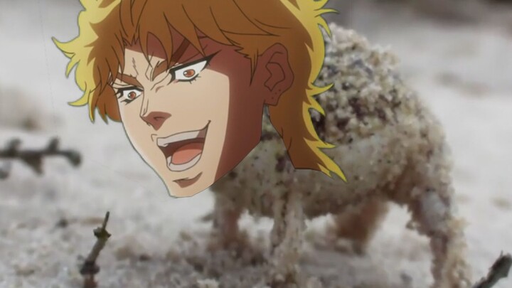 【Desert DIO Frog】It's not JOJO! It's me, DIO Frog!