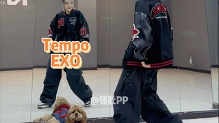 【PP】EXO-Tempo | 反复爱上