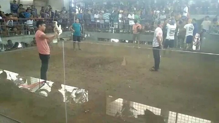 bangkas samin ,naonahan pero bumawi lakas nang patama niya