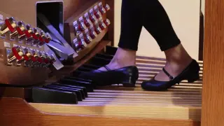 [Music]Play <Flight of the Bumble-bee> with my feet