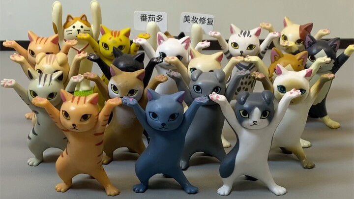 "Kerumunan Kucing"