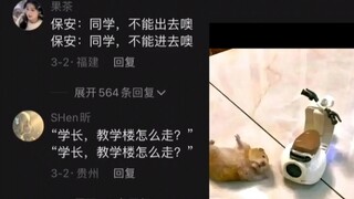 Chuột ơi, tôi lại bị cắt rồi