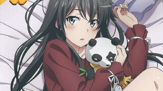 The final volume of "Oregairu" has released the BD cover and bonus! Who wouldn't want to buy it if Y