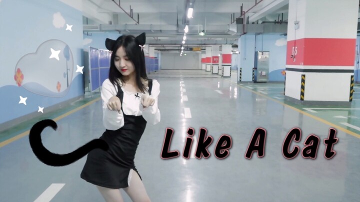 [Hangjiang] like a cat～Sweet and sexy dance to AOA catwalk