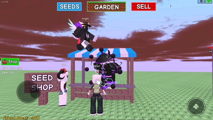 grow a garden