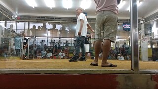 first upload.  panalo manok natin mga lods dihado sakin 💪💪💪💪💪