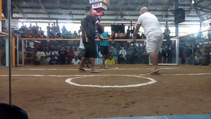 2x Winner F1 Sweater x Lemon