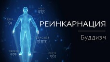 РЕИНКАРНАЦИЯ (санскр. पुनर्भव) в учении Буддизма /4K