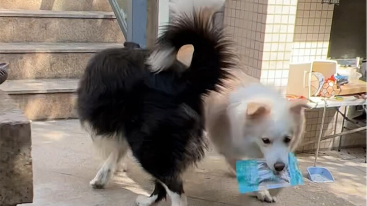 I took down Kele’s door. Today’s video is a bit long, and the scene is pretty chaotic.