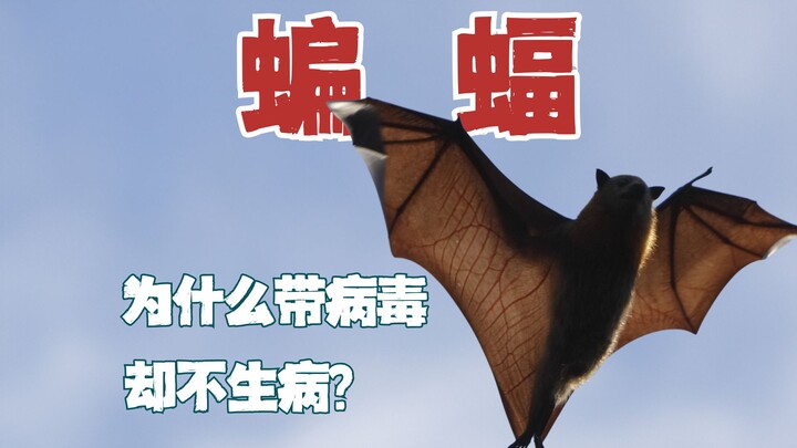 Batman mungkin adalah harapan masa depan umat manusia