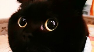 Could everyone please help me figure out which little princess this shady character would make a bet