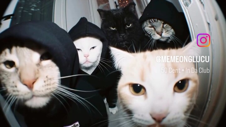 paling belakang ketua gengs nya 😼