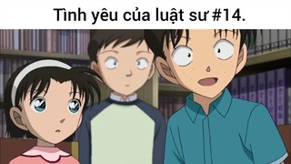 Tình yêu của luật sư p14