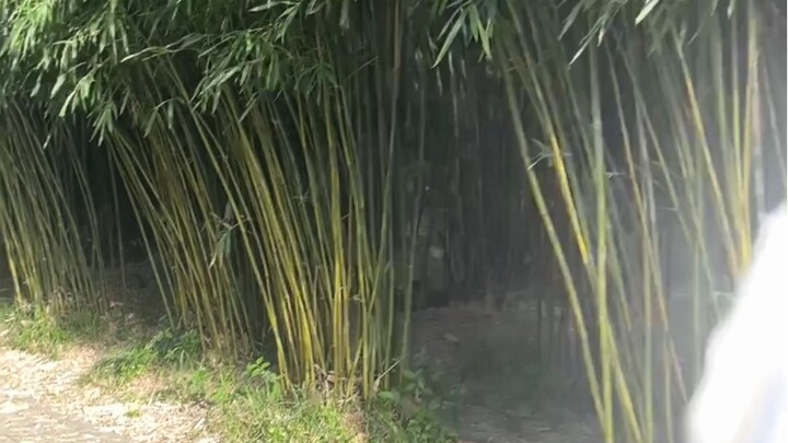 If Heaven has its way, it will never let lovers be torn apart.