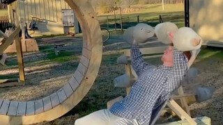 The boy built a sports paradise in his backyard