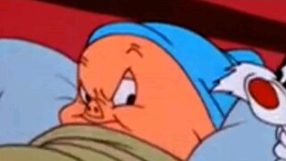 Porky the Pig as Donald Duck