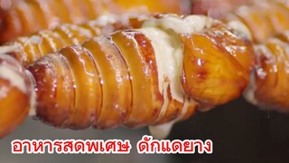 อาหารสุดพิเศษ ดักแด้ย่าง