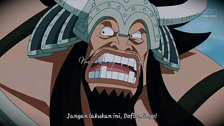 quotesnya doflamingo ngeri cuy