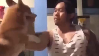 การต่อสู้สุนัข