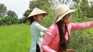 Lẩu Mắm Cá Linh Non Đầu Mùa Nước Nổi ● Nắng Đẹp Miền Tây | NĐMT #06