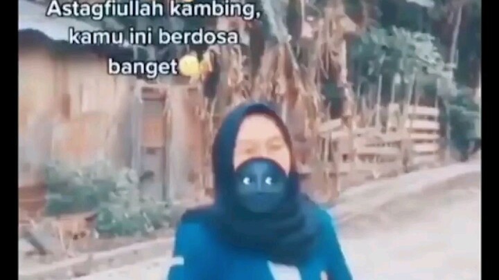 🤣🤣