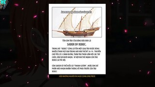 SIÊU HẢI TẶC ROCKS SỨC MẠNH CỦA HẮN LÀ GÌ RÂU ĐEN CÓ QUAN HỆ GÌ VỚI ROCKS p3