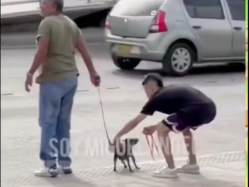 希望我老了没人这么整我