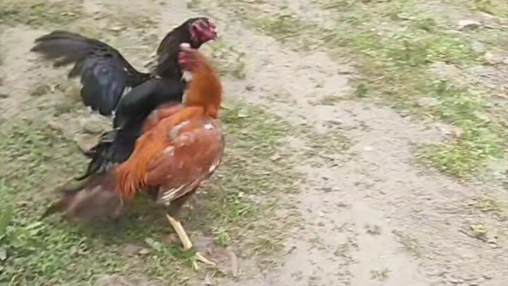 Wala na ako maisip na tittle