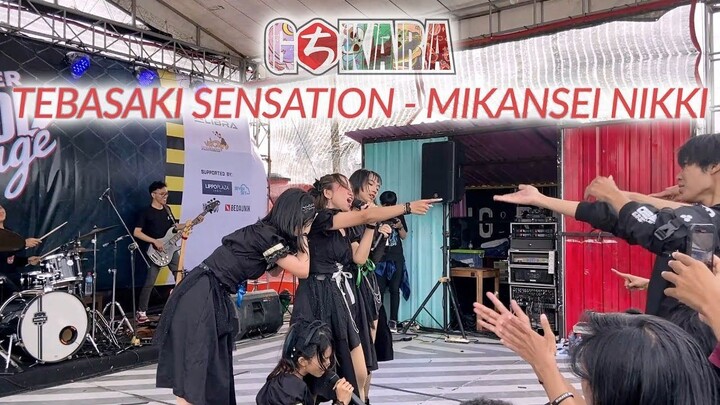手羽先センセーション『未完成日記 』Tebasaki Sensation - Mikansei Nikki (Band Set Cover) Gochikara