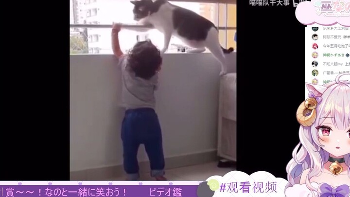 Japanese lamb looks at cat who can take care of children
