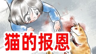 【挖罪】怎么让我家猫看到这个视频？在线等很急。