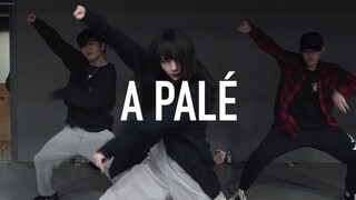 【1M】Woonha 编舞 《A Palé》