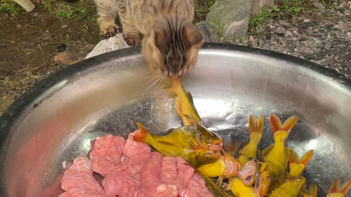 ครัวยังซ่อมไม่เสร็จ ก็ทำเมนูปลาใส่ไส้หมูแบบง่ายๆ ไปก่อน!