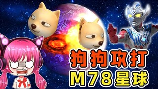 别再救狗了，它已经去攻打M78星球了！秀儿解说