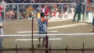 panabo mulitbog sweater x hatch