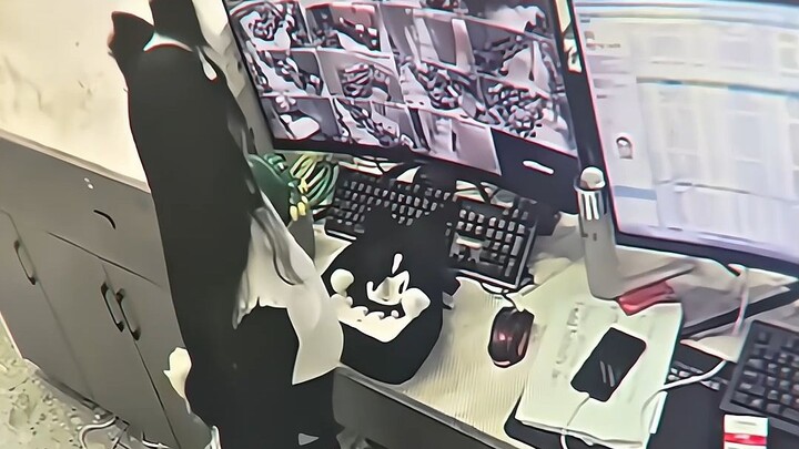 Boss: Um...I also want to see the surveillance video