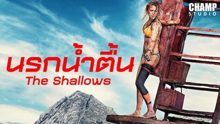 นรกน้ำตื้น (สปอยหนัง) | The Shallows 2016 by Champ Studio