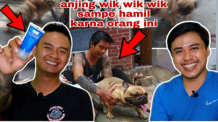 pawang kawin anjing paling ngetop di bali !