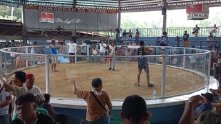 Sa wala
