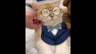 เป็นเจ้าของธุรกิจ