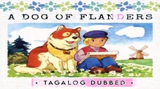 A Dog of Flanders: My Patrasche | EP 7-13 | Tagalog Dub