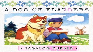 A Dog of Flanders: My Patrasche | EP 7-13 | Tagalog Dub