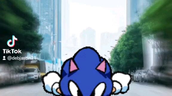 Sonic