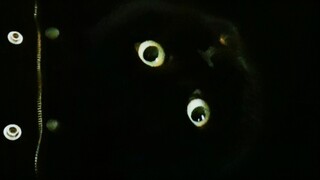 On New Year's Eve, let’s play a little game together!