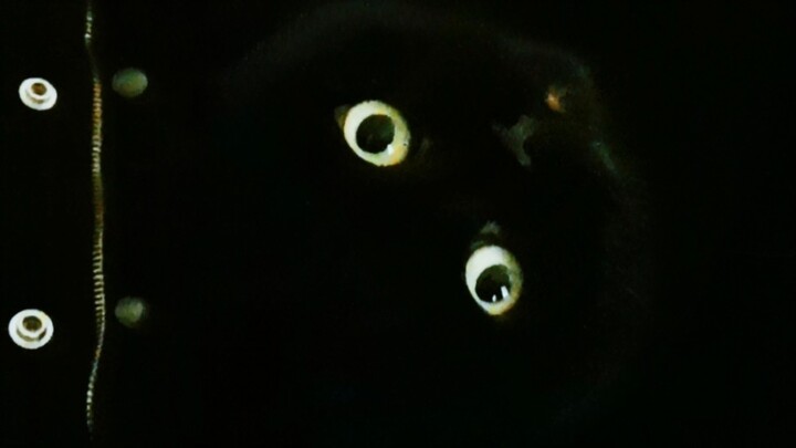 除夕夜  让我们一起做个小游戏吧！