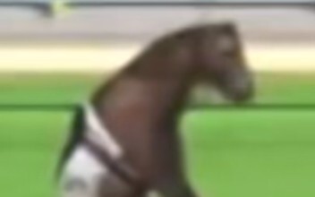 royal wind