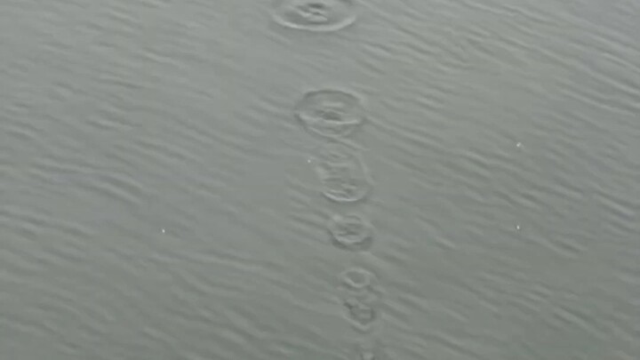 Tạo ra một cú nảy nước hoàn hảo